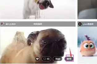 抖音小狗舔屏动态壁纸怎么设置小狗舔屏动态壁纸设置