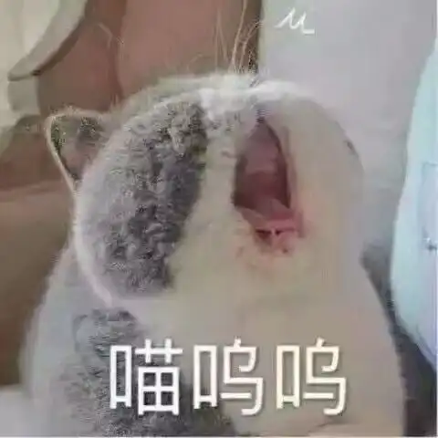 随手写的