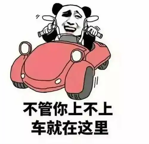 世上最色的厕纸,贫穷限制了我的想象啊