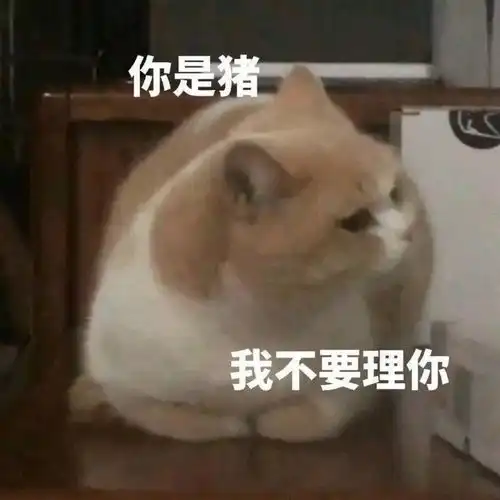 表情包丨向恶势力卖萌