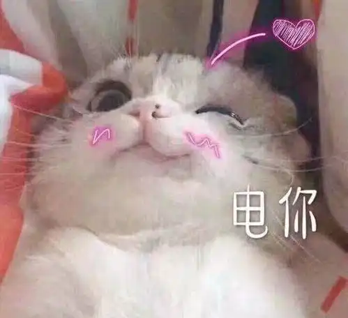 雨水节气雨水沥沥,泽被万物