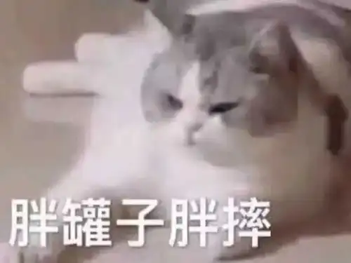 沙雕表情包有意思的文案