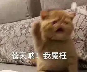 二建报考事宜
