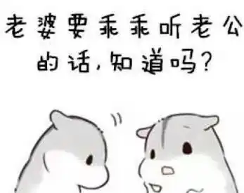 哄老婆表情包老婆大人对不起好喜欢老婆我老婆超级可爱