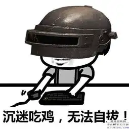 无水印绝地求生表情包第二期来啦真羡慕你有个好老婆