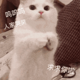 微信聊天可爱表情包宝,多喝热水