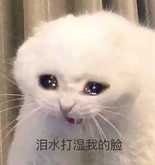 2021同济大学日语学硕