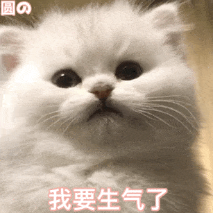 表情包动图可爱沙雕gif表情包