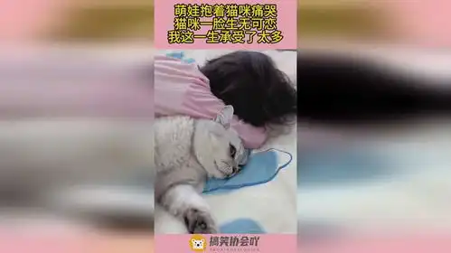 萌娃抱着猫咪痛哭,猫咪一脸生无可恋,我这一生承受了太多