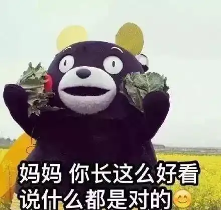 我要退出群聊被爸妈嫌弃的日常,原谅我笑出了马甲线哈哈哈