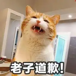 对女生道歉的话