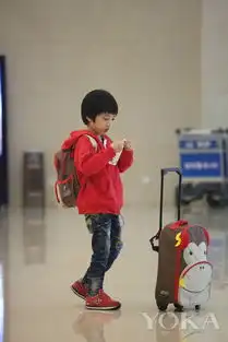 姚明参演爸爸2费曼安踏上脚贝儿炫富