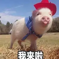 吸脂对身体会不会有什么影响