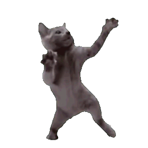 小猫表情包模仿怎么拍四个表情今日头条