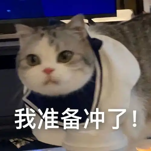 47岁舒淇毁容式近照曝光满头白发,是婚后8年不幸福吗