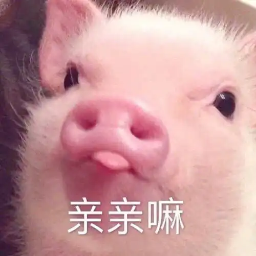 热门表情包图片从你这里,我又学到了奇怪的知识