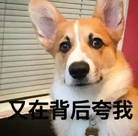玻璃大师打造的咖啡壶,不添加金属塑料,享受纯真本味