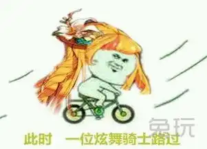 dnf贴吧恶搞表情包今天怎么这么多人骑单车