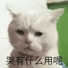 表情包哭泣动图gif系列