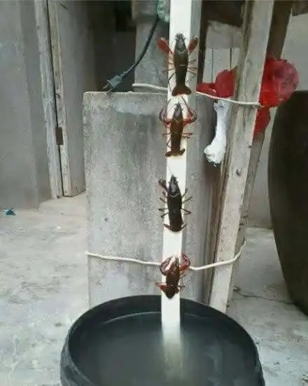 搞笑gif段子小伙子,你过分了啊要不我给你换换位置吧妹子