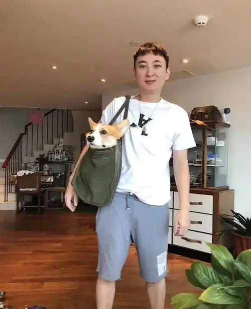 醒醒你不可能变成王思聪,但你可以拥有他的表情包