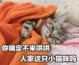 别人用lv包chanel包,而我用表情包来收图
