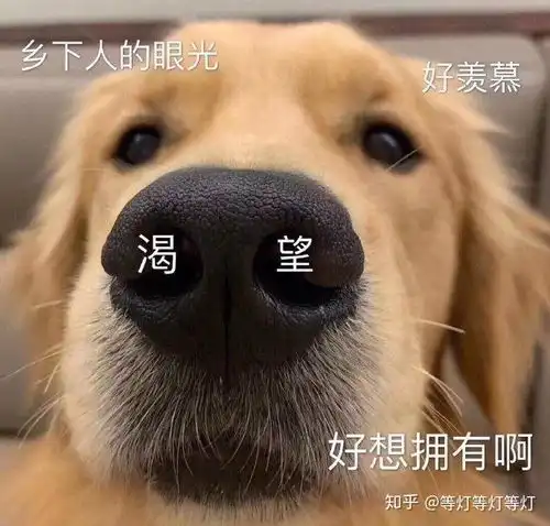 应届生,复习两个月,国考想要申论六十分,行测五十分,很难么