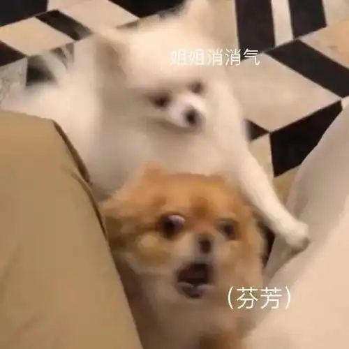 这个夏天,想要好身材,用恬然之悦果乐素就对了
