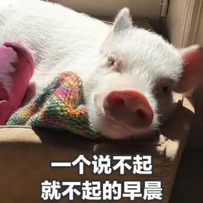 qq搞笑表情qq表情搞笑搞笑表情图片大全腾牛个性网