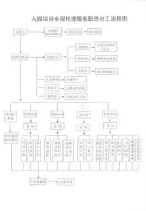 入园项目全程代理服务职责分工流程图全程代理服务分工责任表