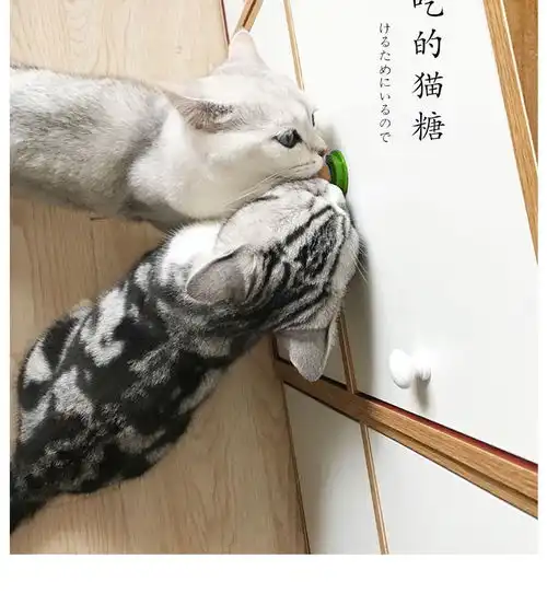 网红猫糖舔舔乐大力丸能量球猫吃的糖宠物猫咪零食营养膏抖音糖果