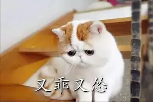 有没有可爱的表情包