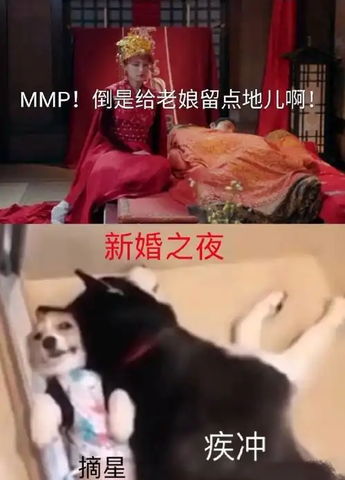 狼殿下不走寻常路,肖战成史上最强男二,台词和道具也是都十分狗血