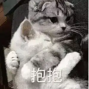 分享和男朋友聊天撒娇的可爱表情包