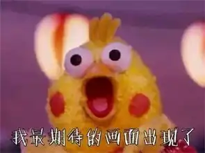 像鸡的鹦鹉兄弟头像表情包图片