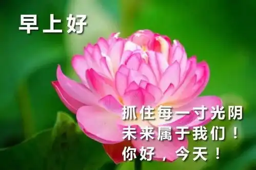 9月5日周末分享到朋友圈的早上好漂亮图片带字暖心的早上好祝福说说心情
