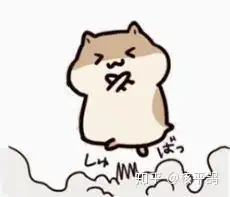 你有哪些可爱的小仓鼠表情包