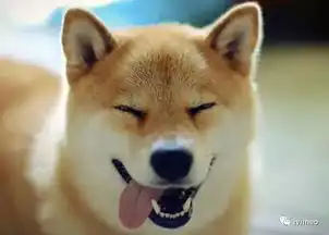 清明过了,你给你的表情包上坟了么