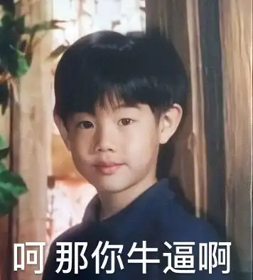 段宜恩小时候好适合做表情包啊哈哈哈哈