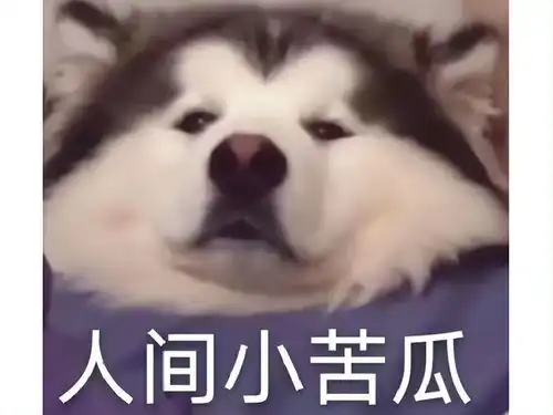 永恒之塔开服老玩家,显摆不成反而社死,只好在百人面前假装掉线