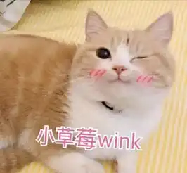张嘉倪大白牙艳压关晓彤,她珍藏的神器,比ps都有效