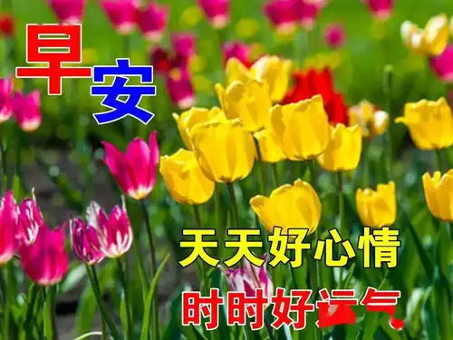 最漂亮早上好动态表情图片大全,早晨好动图美图大全