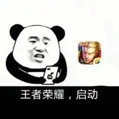 王者荣耀搞笑表情图我凭勇气开的团,为什么说我瞎带节奏