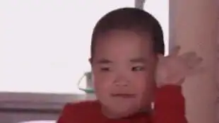 傻狗的一天3