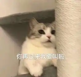 猫猫狗狗斗图表情包懂了,绿了呗