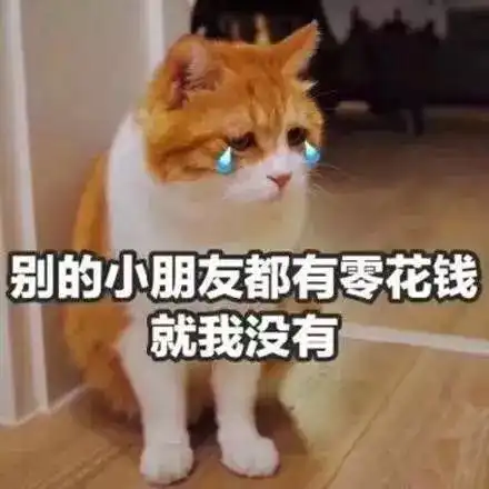 水院双十一特辑特别的爱给特别的你