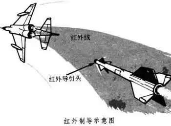 飞蠓进化论中国fm90防空导弹分析