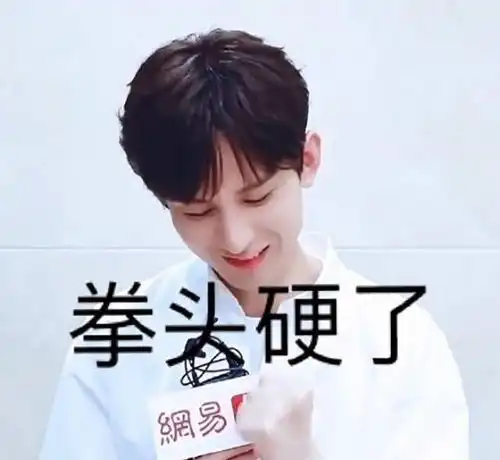 网友给成毅p的表情包每一张都大有用途