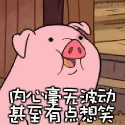 重磅猪肉猛涨政府出手福建这些地方推出补贴