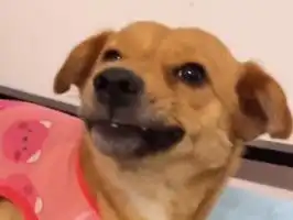 滚动